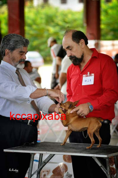 Clique sobre a foto para fechar